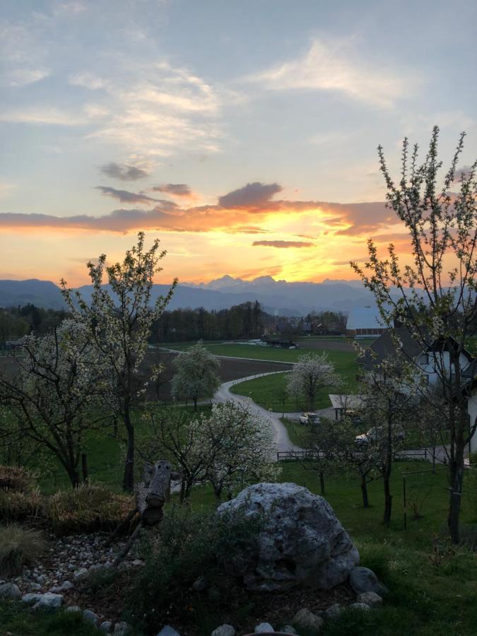Apartma Romana Spodnji Otok Exterior foto